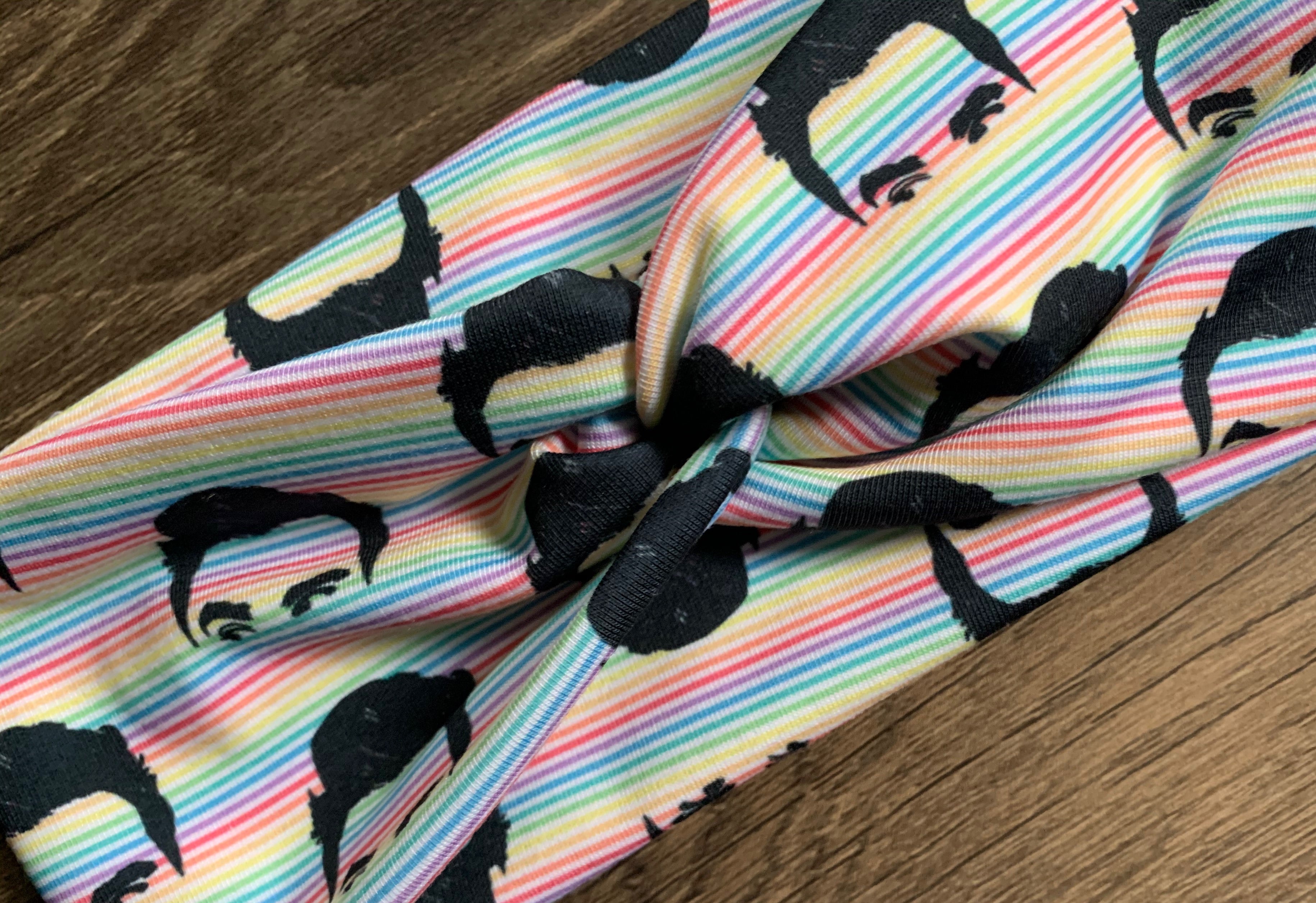 David Rainbow Stripes